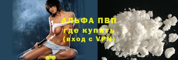 дурь Ельня
