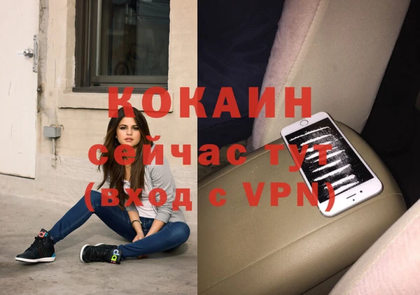 дурь Ельня