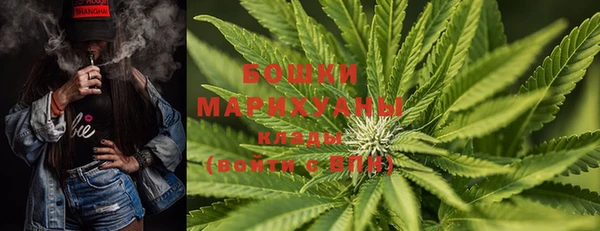 дурь Ельня