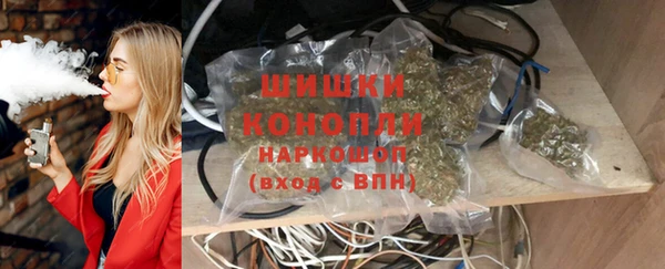 дурь Ельня