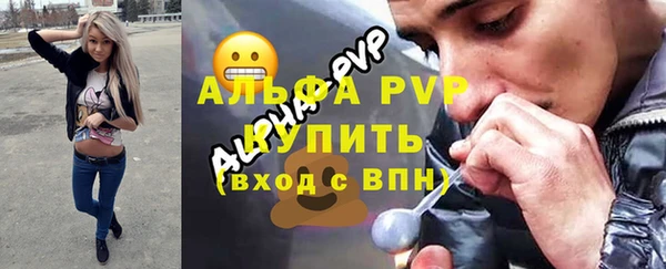 дурь Ельня