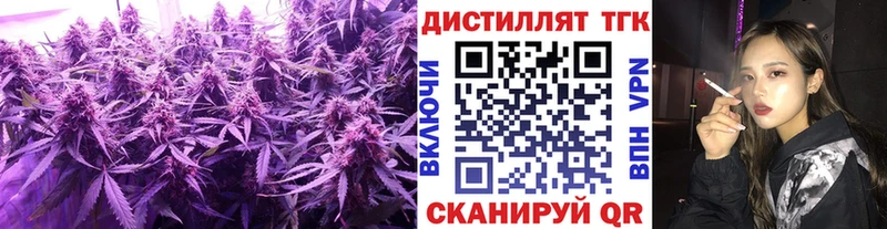 ТГК Wax  Купить  Суджа 