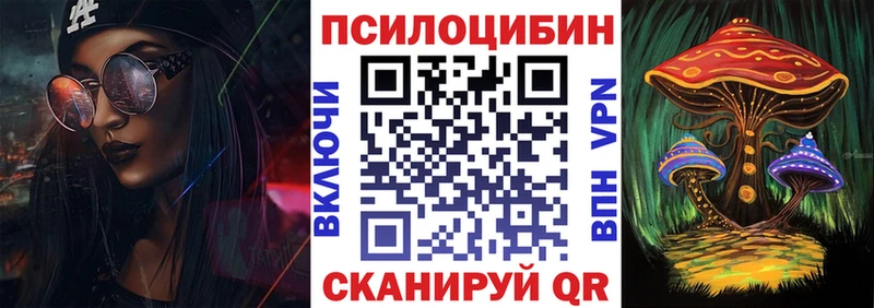 Купить где  Суджа  Галлюциногенные грибы ЛСД 