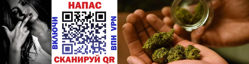 Бошки Шишки Bruce Banner  Купить закладки  Суджа 